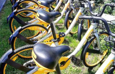 Czarne Domki Resort - Photo 21