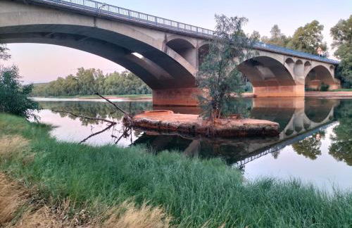 FINCA RIODIEL - Foto 72