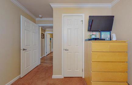 Lime in the Coconut - Foto 22