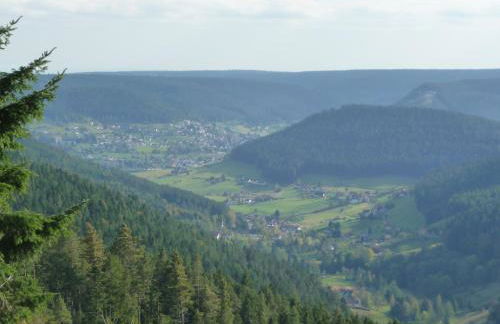 Schwarzwald-Ferienwohnungen Begert - Foto 24