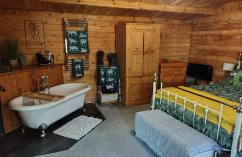Forest Cabin Retreat - Sleeps 2 - Wifi & Garden - Foto 7