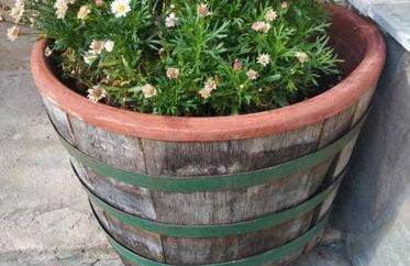 Violet Bedroom and Apartment - Photo 54