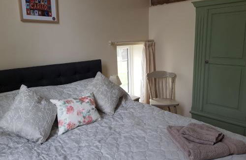 Lletty Ann wynn at Fraithwen Cottages - Foto 19