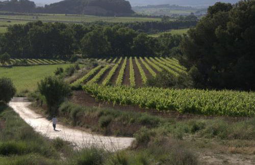 Ca l'Helena - Foto 24