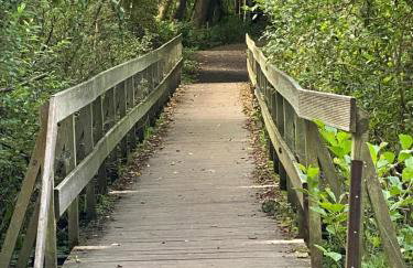 Paradies in der Vulkaneifel mit Panorama-Blick - Foto 37