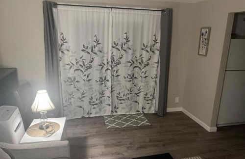 Relaxing Ducks Hang Out Haven 2 bed 1 bath and BBQ - Foto 11