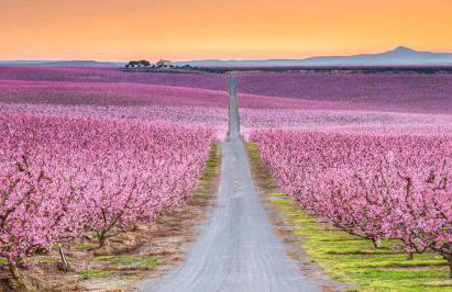 Residencial Lleida - Foto 5