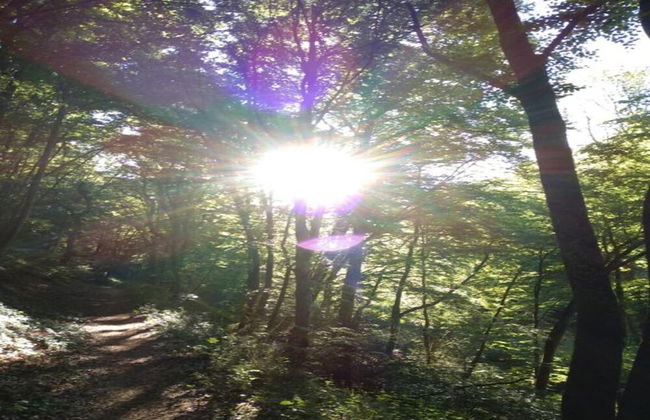 Apartment in Veldenz With Balcony - Foto 32