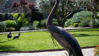 Mas des Cèdres - Photo 4, Garden