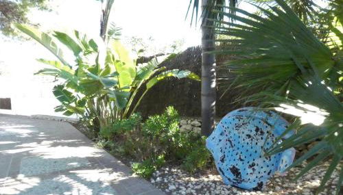 Villa les Pins - Foto 5, Garden