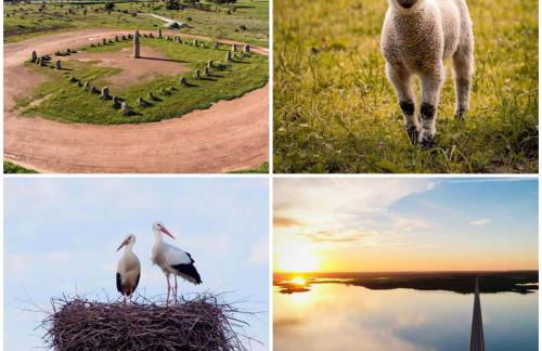 Casa Coração Alentejano- Casas com EnCanto - Foto 45