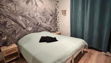 2P 40m2 -Cannes centre- Palais des festivals - - Foto 3