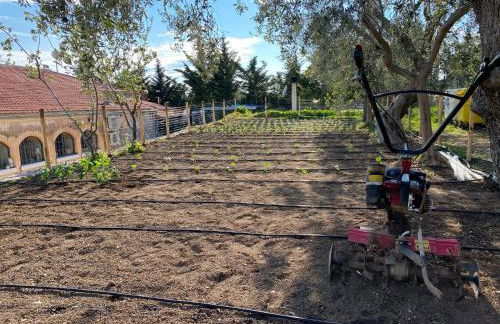 Signor Cesare Agrobistrot B&B - Foto 12
