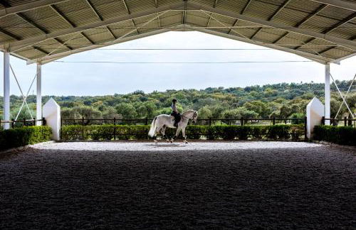 Monte Velho Equo-Resort - Foto 16