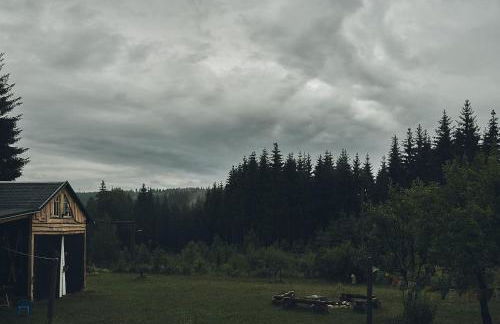 Blickinsfreie - Cabin - Foto 43