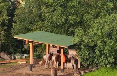 Cà del Poz - Foto 6