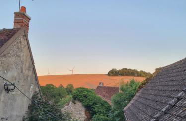 La Damoiselle en Bourgogne - Foto 24