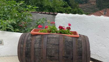 Casa Vila Rosa - Foto 3