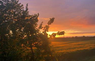 Cabana in Zweedorf an der Ostsee - Photo 15