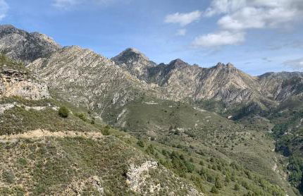 FINCA EL ALMENDRO - Foto 27