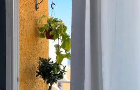 Vistas Los Pinos - Foto 14