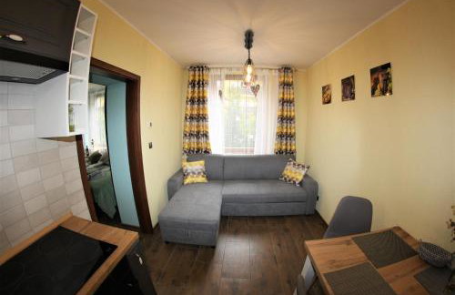 Apartamenty Zielone Centrum - Foto 21