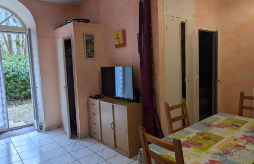 Appartement de plain pied , jardin et grande terrasse - Foto 3