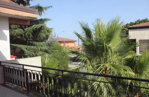 Greenhouse - Foto 16