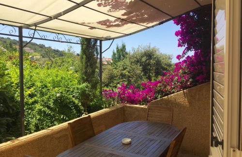 Résidence Guddelmoni - Foto 39