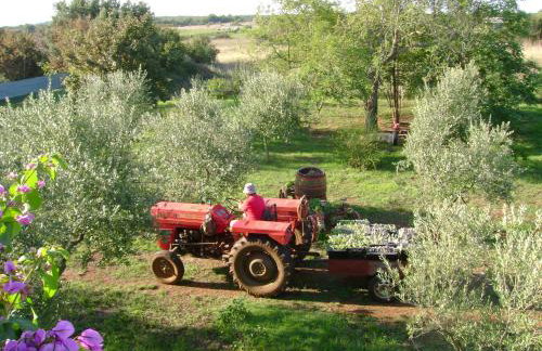 Annamaria Home - Foto 41