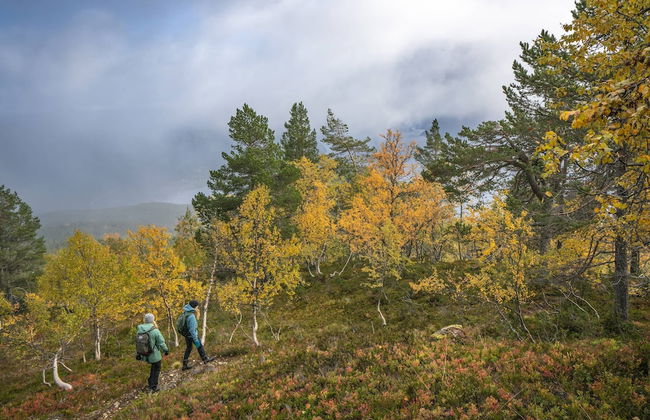 Vesterland Feriepark Cabins & Apartments - Foto 50