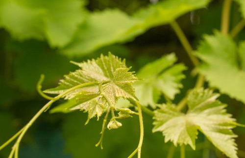 Hier et Aujourd’hui 21 - Foto 13