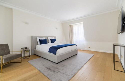 Luxury apartments - Avenue Montaigne - Foto 7