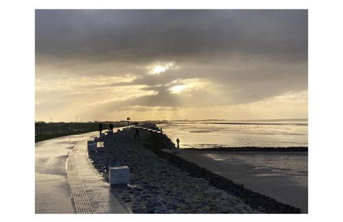 Dandelion Modern Retreat - Foto 35