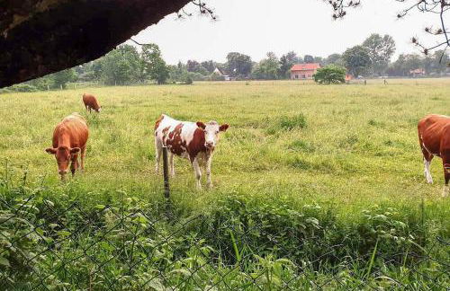 Carl 7 - ruhig, bezaubernd, eigen - Foto 14