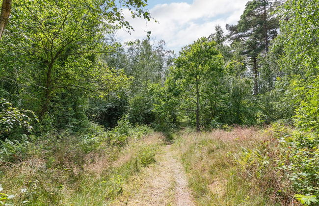 "Anarosa" - 200m from the sea - Foto 7