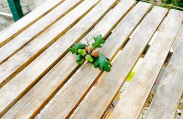 O Refúgio - Foto 21