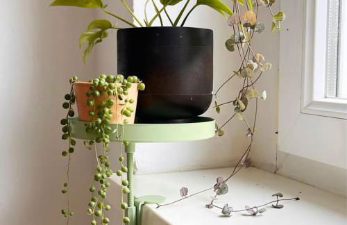 22CAP apartment - Foto 56