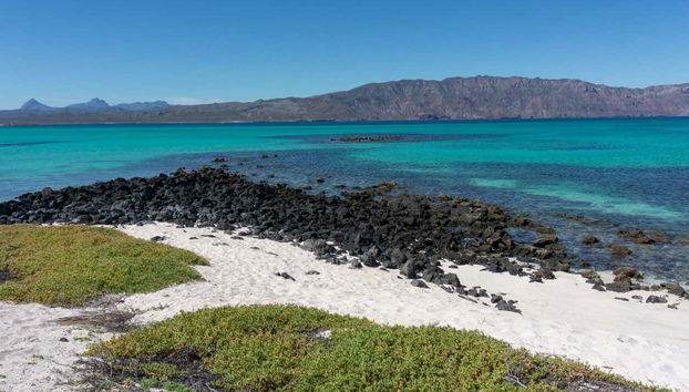 Splendidi scorci dell'isola Coronado