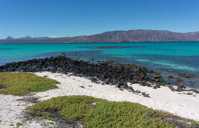 Excursion sur l'île Coronado - Photo 3