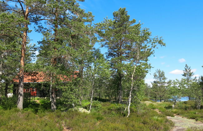 Førevanns Hytta - Foto 15