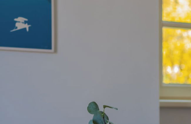 Green Rose by Wonderful Italy - Foto 24