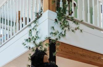 Warm Mountain Escape Secluded Peaceful Hot Tub - Foto 25