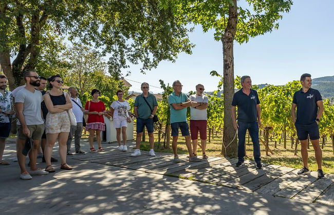 Visita privada al viñedo vasco : Cata de vinos Txakoli desde Bilbao - Foto 7