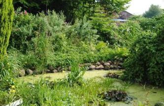 Apartment Schule 8 by Interhome - Foto 12