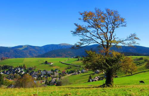 Sport Rees - Ferienwohnung Anna - Foto 41