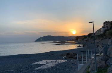 Bellissima Cervo - Foto 11