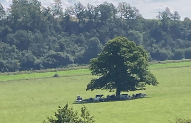 Spacious Villa with Hot Tub & Sauna in Ardennes - Foto 42