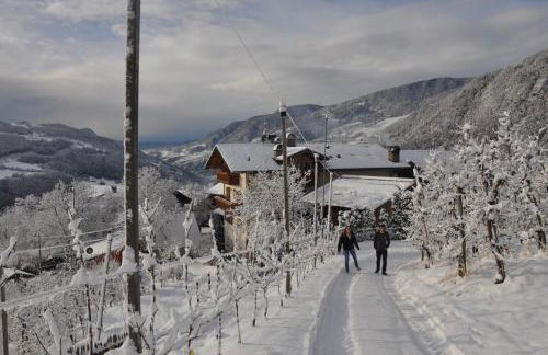 Obergostnerhof - Photo 21