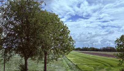 Haus Marschblick - Foto 3, Garden view
